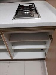 Residences @ Evelyn (D11), Condominium #620527341